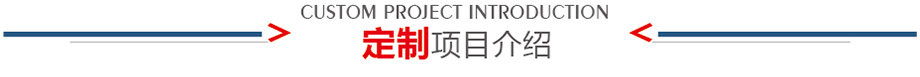 定製項目介紹