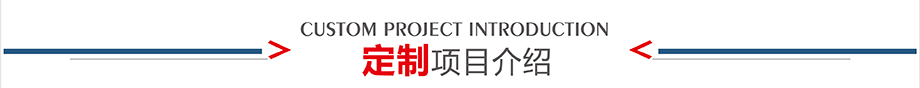 定製項目介紹